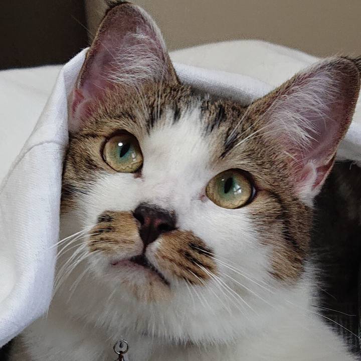 2a1efd36 66eb 4cab a628 e601a38d23dc 1567818830283