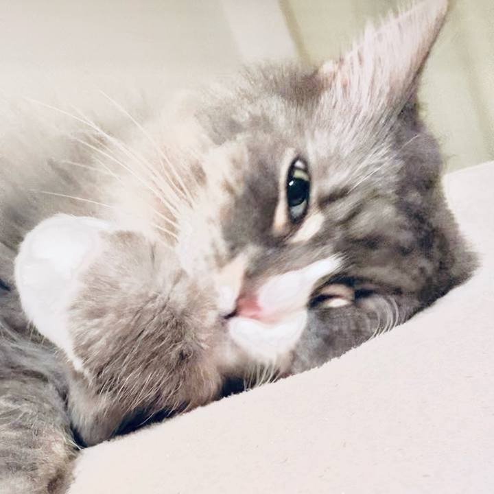 2a1f0d0d aa59 47ad 9efc bc2375499acb 1752921274545