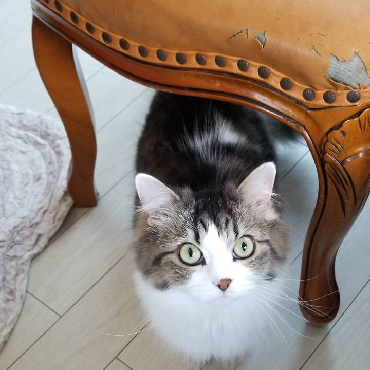 2a1f6c63 8bc5 422a a1ca 3cf5368f2511 1540866712536