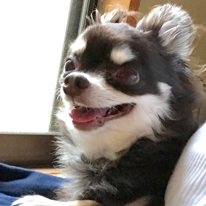 2a1faaaf e089 4494 b1d5 29fa343b487b 1535696498754