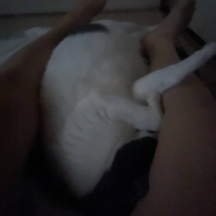 2a1fd7ca 7800 428e 9a6f 32c7540fa517 1749757401514