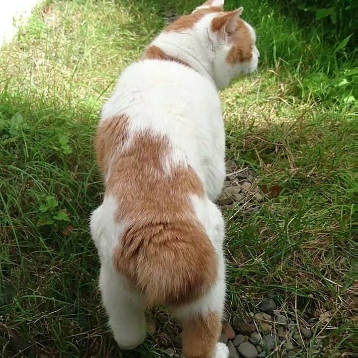 2a1ffb60 f1a2 4fc8 8876 e3a7c7c90e02 1614997278525