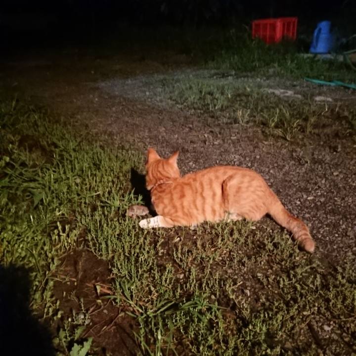 2a1ffdc7 8044 4431 9a3b 0a58f3b8a9f6 1566559326280