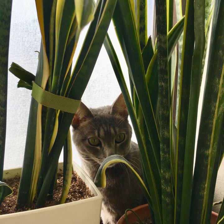 2a201b29 038e 4a2a a1df 9e7248a0d9d9 1546226777739