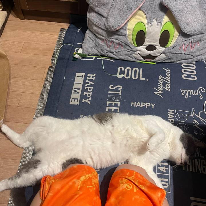 2a203c09 4332 4895 bafe f5d20c91bbb6 1729354831235