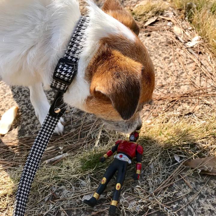 2a206be8 89c8 4873 a421 41e48b6f308b 1553654331490