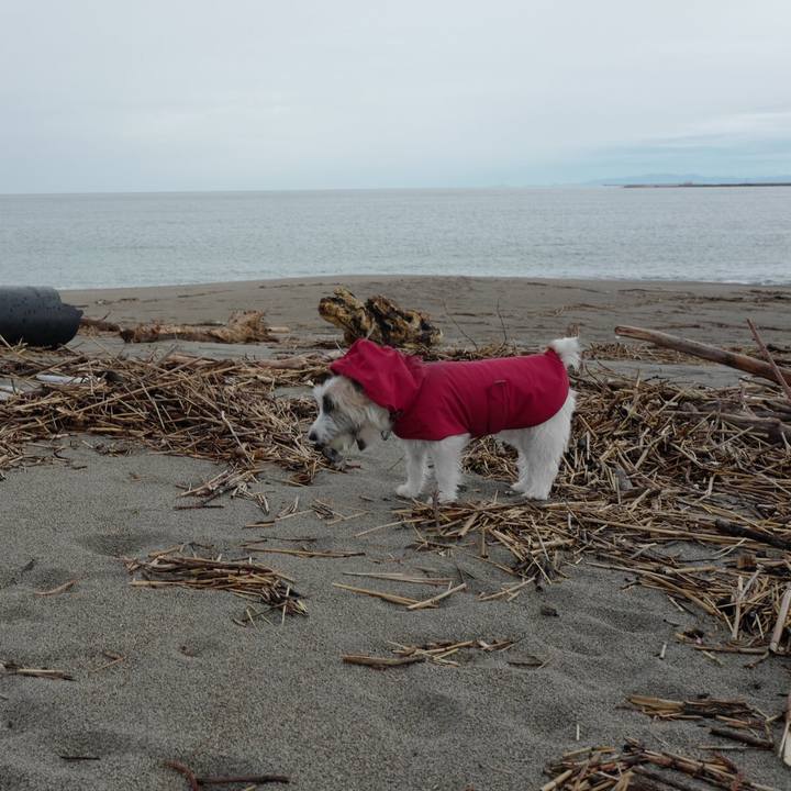 2a207165 19ae 406e b115 50dae1b65b12 1571458970331