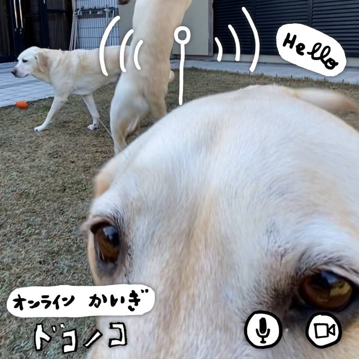 2a2075b6 f992 4741 9e7e b6d0d4f0e736 1590902665472