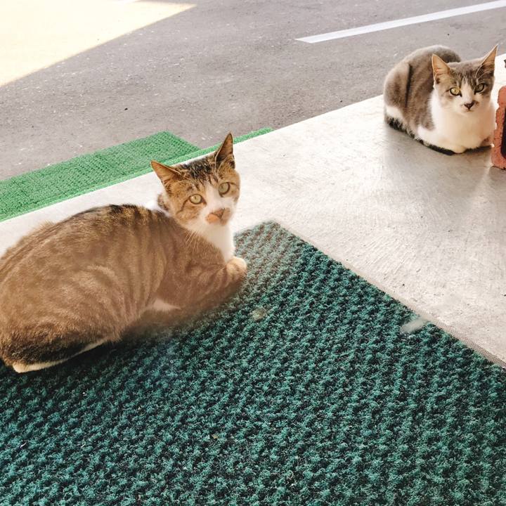 2a207d45 dee6 4c79 80bd bc50c88bddf4 1540631827183