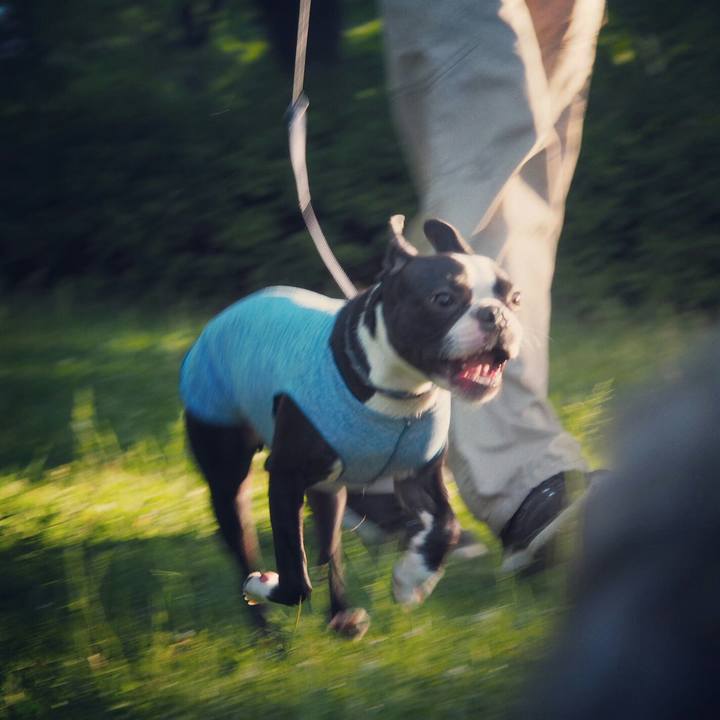 2a208eb8 1330 4966 b20d 2314cb04b3e8 1526807594768