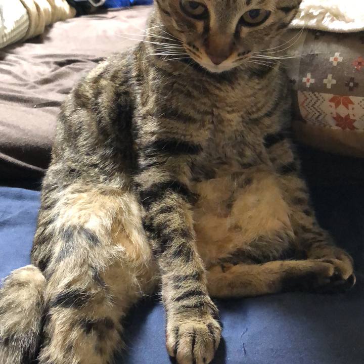 2a20afd9 01d4 4669 a6b5 7704887d5d89 1519833912241