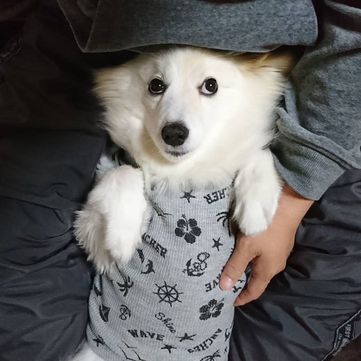 2a20aff8 9cbf 4a3e 8697 46a17de1c103 1525985562245