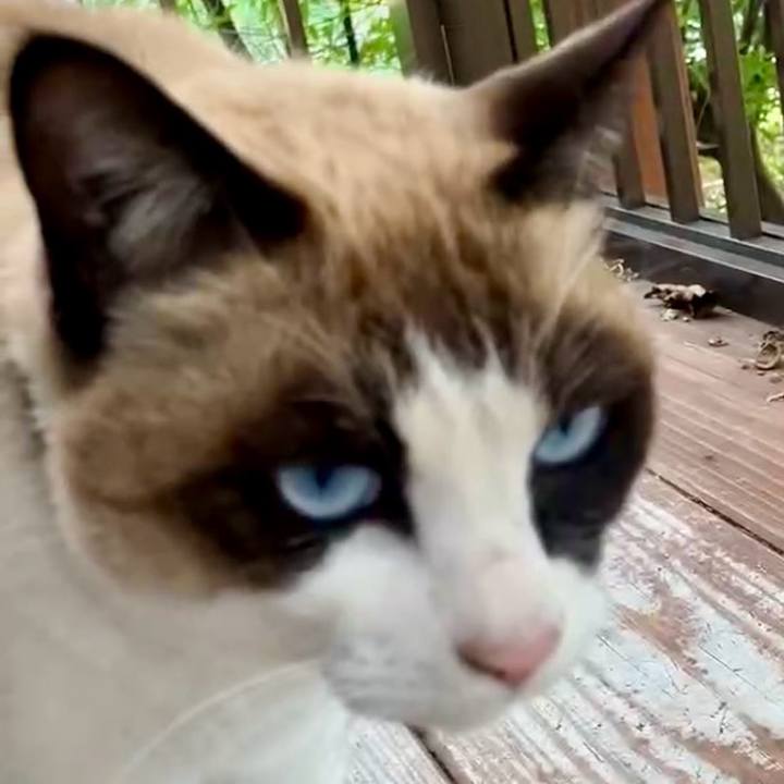 2a20c934 8a53 4e4c 802d e1624ee136f9 1737374221105