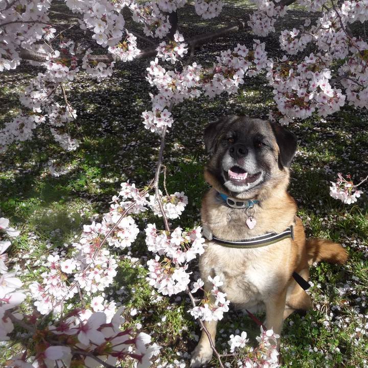 2a210168 4415 4beb 9c59 e80e150d77c1 1712920501828