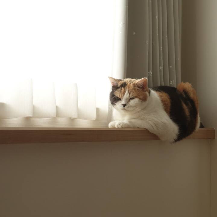 2a210db4 f63e 4469 a01b f192f2beb27c 1565706343665