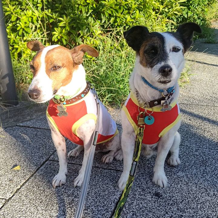 2a211886 8821 4ea5 8b5c 142f109ce24f 1660859197127