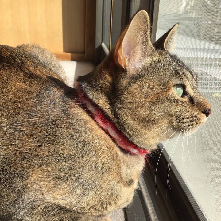 2a21235d fe29 441f 9f18 22f6a6dea69a 1613021001852