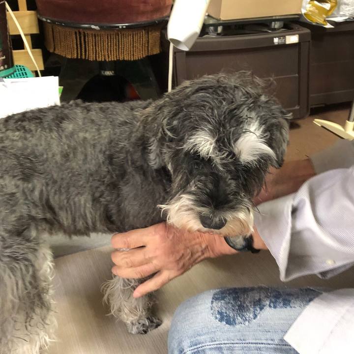 2a214ca2 9348 4c3e 800b 515295855bd1 1635900727905