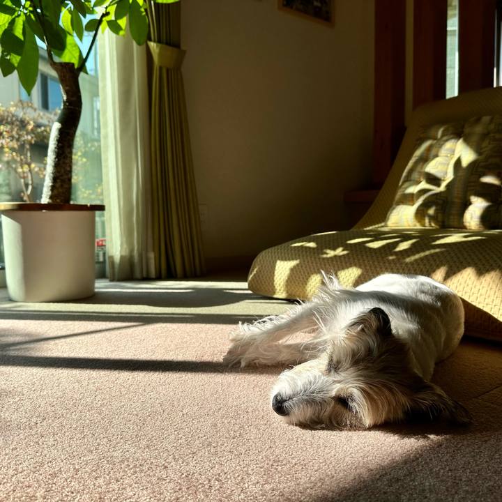 2a2174bd f86a 4734 b54f 6eb8dd5736b7 1698798407569