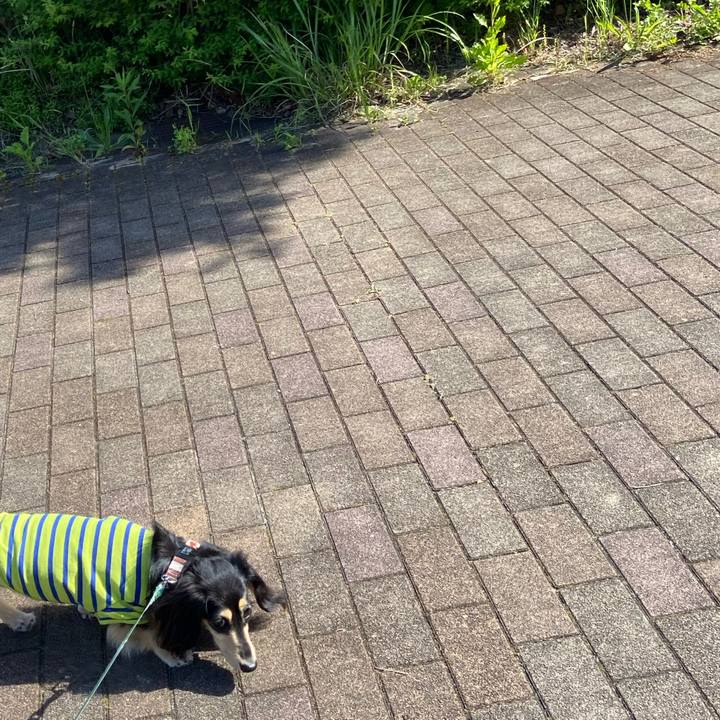 2a218267 4f30 4dee b3f9 1f7f3e0bda1a 1715411944614