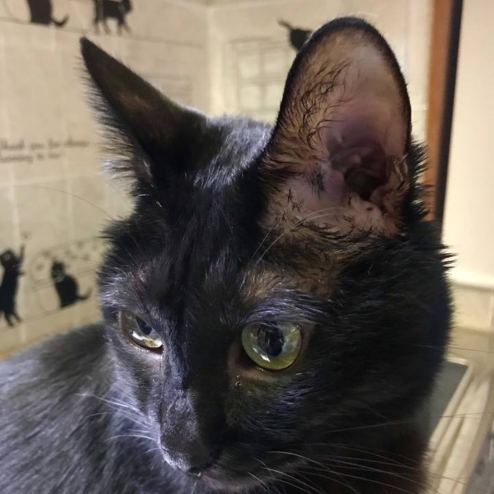 2a219509 0a32 412e 8c4e 4c2c1ccf957c 1543066449495