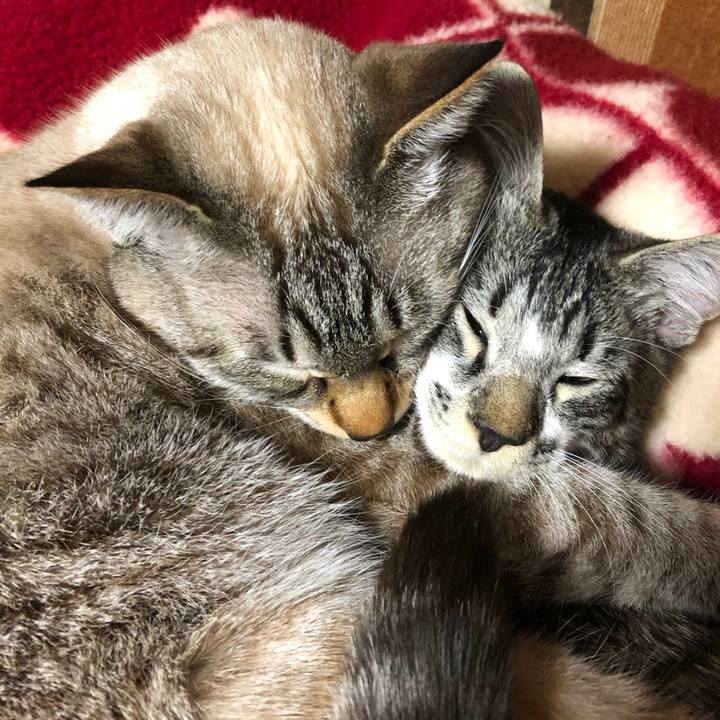 2a21c4ac 2b9c 4aed 875e 5f7ad6f61ccb 1641095923447