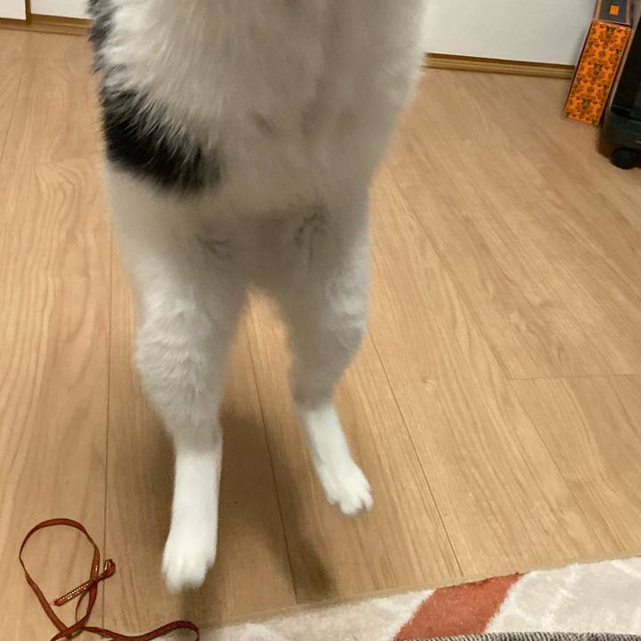 2a21dad5 1b94 43f0 88cb 1f18e678d757 1576472921763