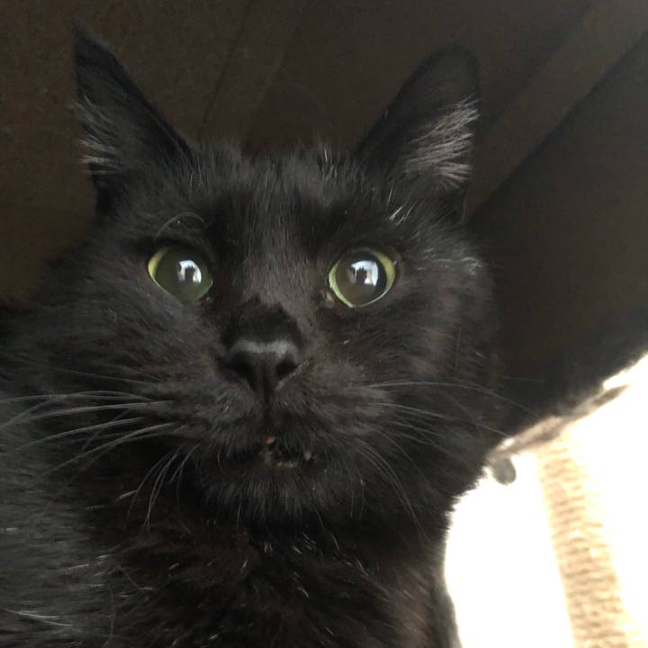 2a21ee44 007a 4a39 9096 893f8858b5fe 1616969979695