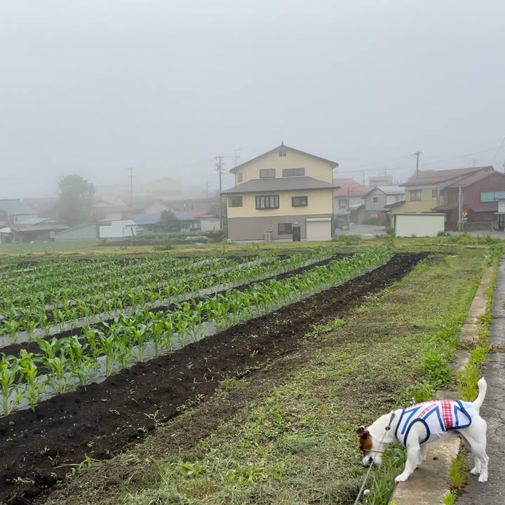 2a21f4fe 91b3 4b86 aab9 a3d658b72957 1624426179241