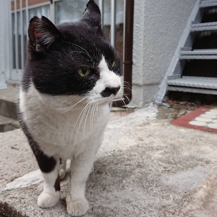 2a22021c 134a 41da ac8a 49e63a069e06 1643325383459