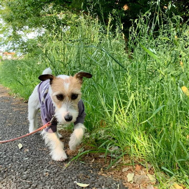 2a2247c9 88c4 4c97 80a1 c07d0238b6f4 1620722768317