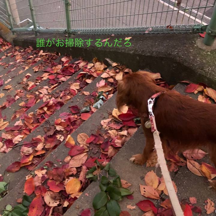 2a2253f1 f4c0 486a 9338 202731a75bdc 1574599610087