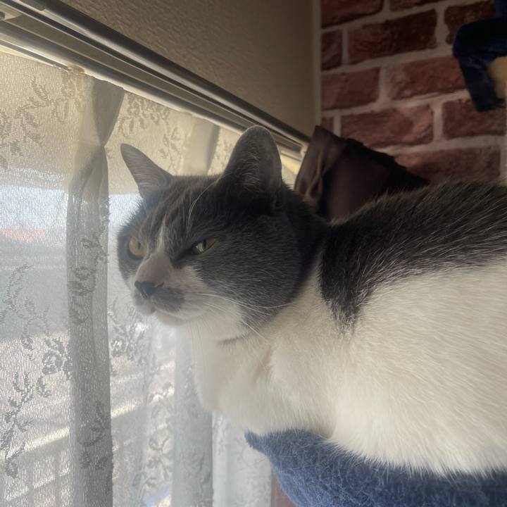 2a22629b 7b48 408d b68e 54805fae59fe 1682563001438