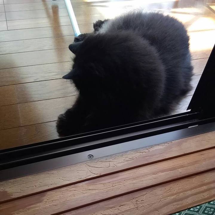 2a227f52 3b61 442c 81f5 73937acc7fcd 1531123399901