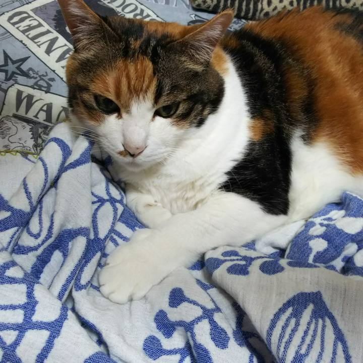 2a229233 6fae 44b7 b08d 3cc0b479846a 1532641309396