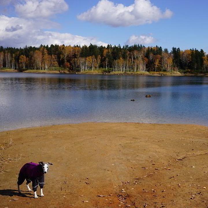 2a2294ae 8a1a 4d7e b7f2 d35aae35692d 1542547979638