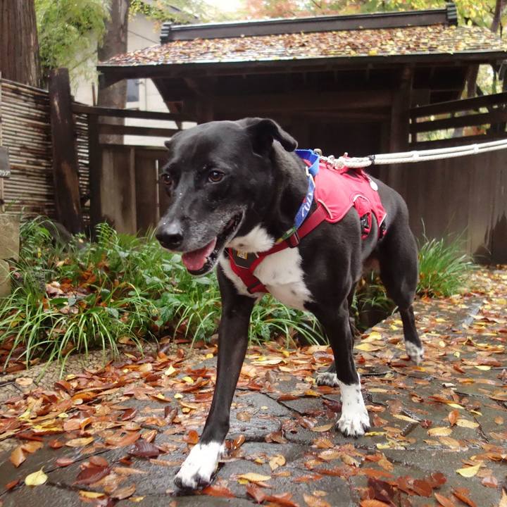 2a22a9d3 ef95 4d6c 83c0 ae00de4c5bc7 1668991399203