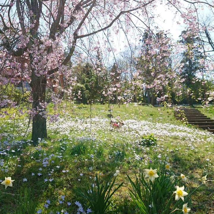 2a22ad26 48da 4576 9c98 cf0ae42606e3 1585981530969