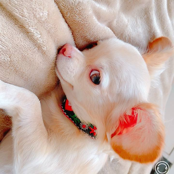 2a23bb51 d405 4b69 a52f af3eb85b6f1c 1633658505882