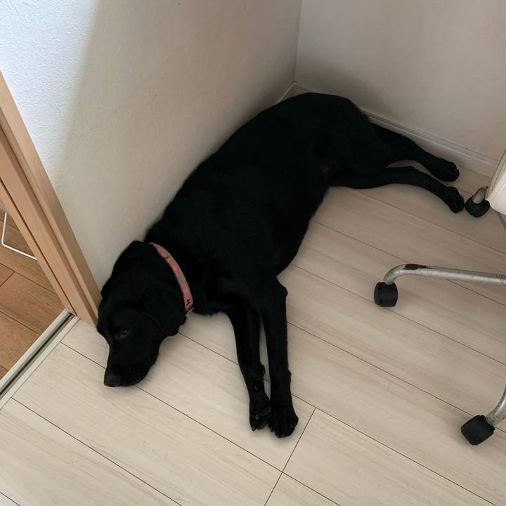 2a23d1ab 432b 429a 80a8 05c07fb8a12a 1596262531160