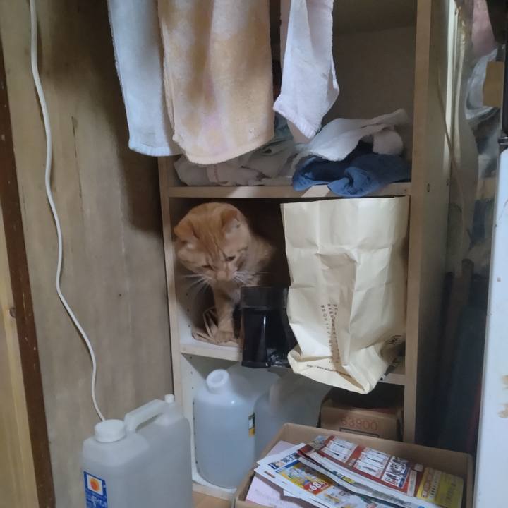 2a23fb12 92d0 487e 9925 fa6feb7e2975 1670719045587