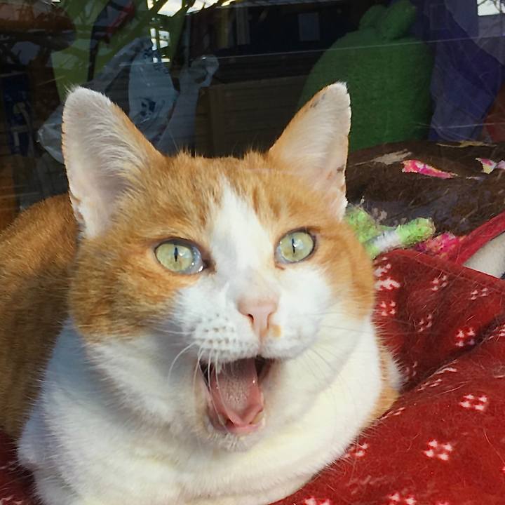 2a240e5f 24e2 481d b142 24bb14256c16 1610605596839