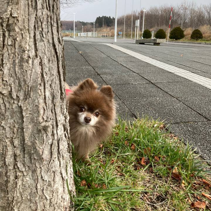 2a241dc5 ef41 407e a336 20a7806f5d13 1669520170419