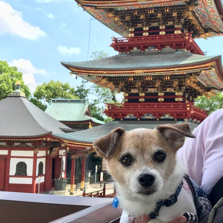 2a244292 59eb 4877 b4a5 fdf71c54078e 1654333815880