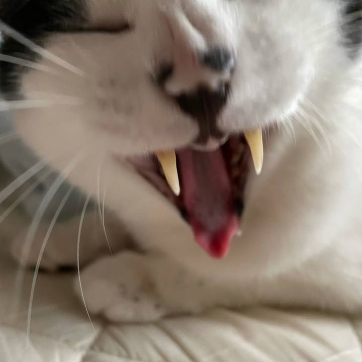 2a247957 1353 40c0 abe2 f670dee7d76c 1621302531175