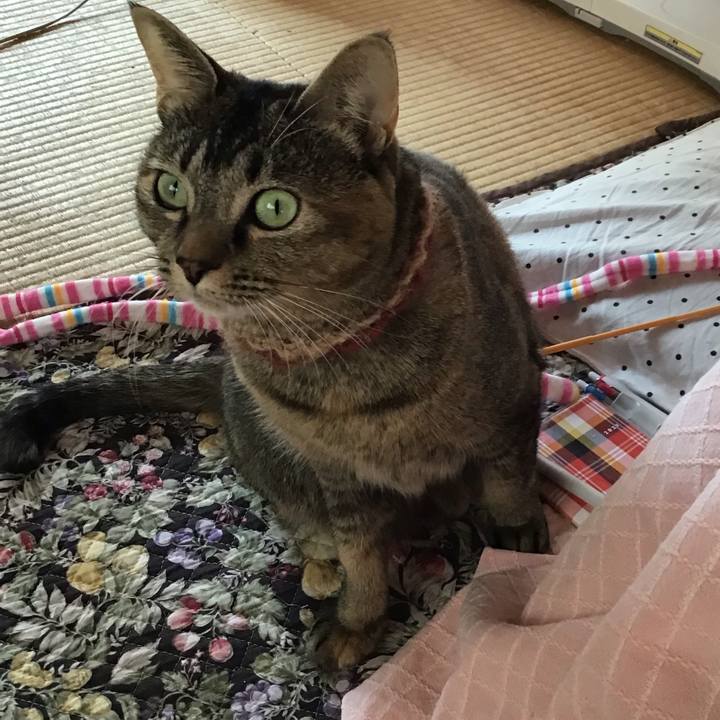 2a24b872 f04a 4a16 9128 45c9194ca75c 1636852114372