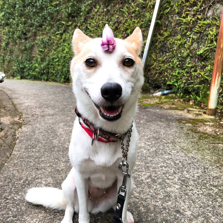 2a24d86a ee48 42bc af7d e3783aea80c0 1594551049393