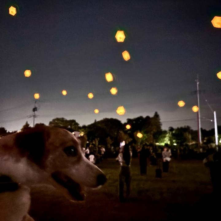 2a24dc84 45bf 4b59 849b 29808ec92757 1755409319027