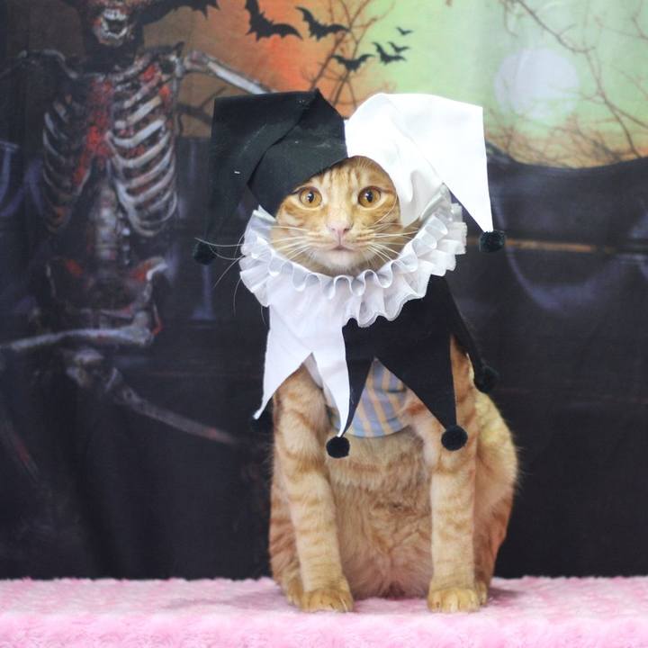 2a25308a 6ae4 4cbb b2c0 bba9ceffe966 1696077122267