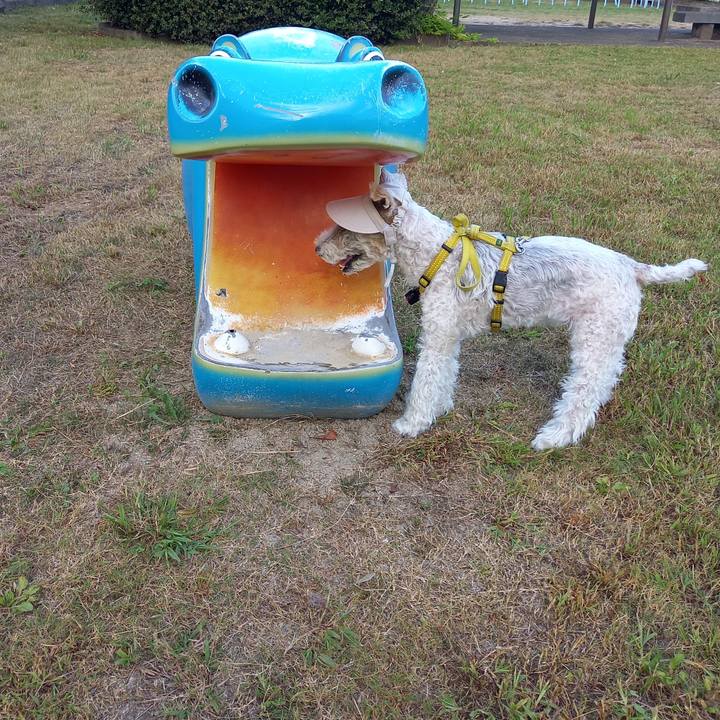 2a254faa 8e41 4049 9274 63d584a814d8 1665922870971